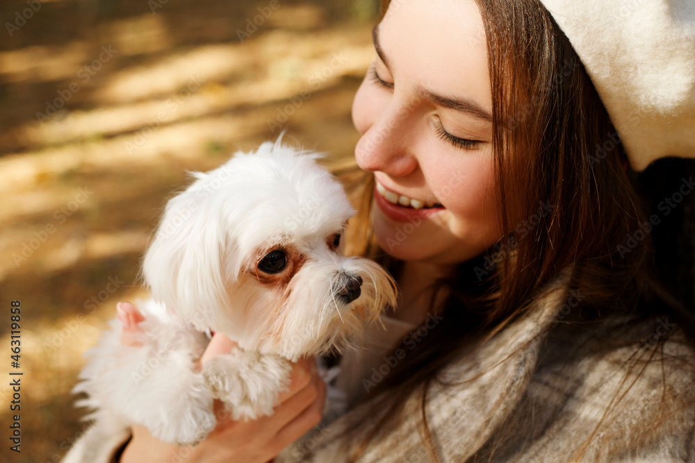 Portrait of young happy Caucasian teenager girl in french white hat and warm coat holding and hugging her little cute white dog maltese mini in autumn park Portrait of young happy Caucasian teenager girl in french white hat and warm coat holding and hugging her little cute white dog maltese mini in autumn park