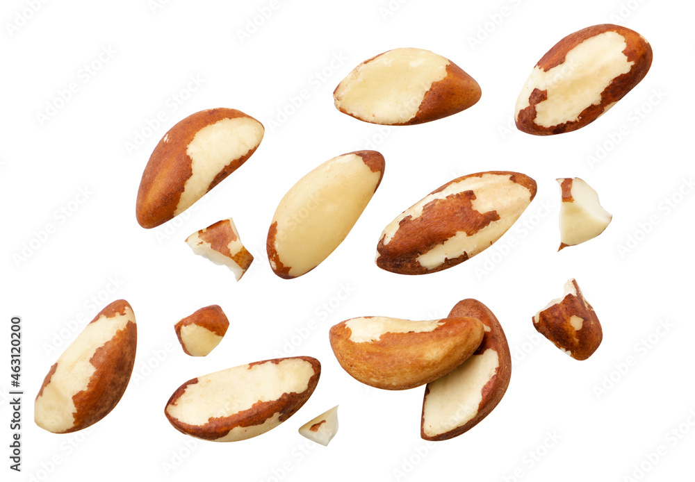 Brazil nuts are falling on a white background, cut out. Isolated Brazil nuts are falling on a white background, cut out. Isolated