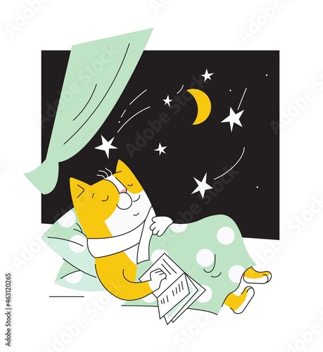 dreamer cat  is sleeping with a book