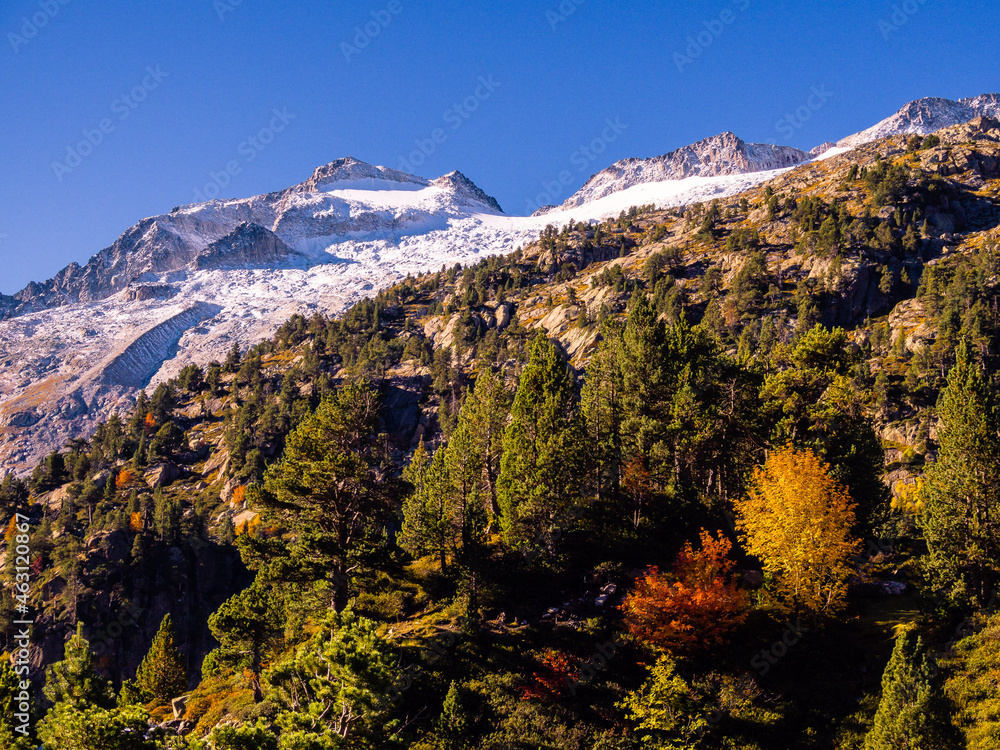 Paisaje alpino con montaña nevada de fondo y un primer plano de árboles con colores otoñales.