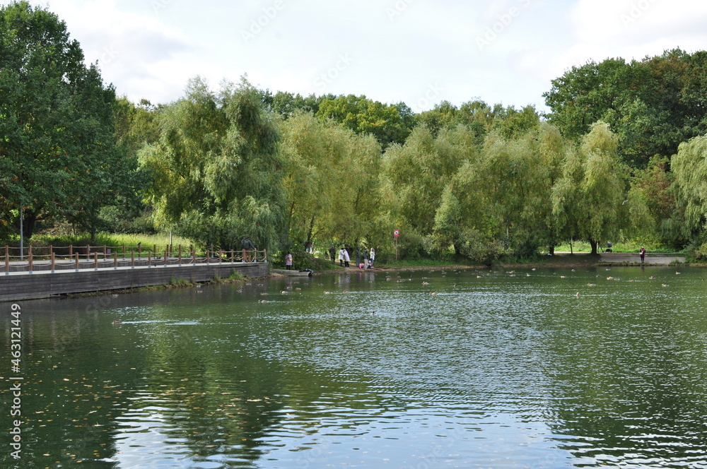 Panoramic view of the city pond. People with children on the shore feed the ducks. September 18, 2021, Moscow, Russia. Panoramic view of the city pond. People with children on the shore feed the ducks. September 18, 2021, Moscow, Russia.