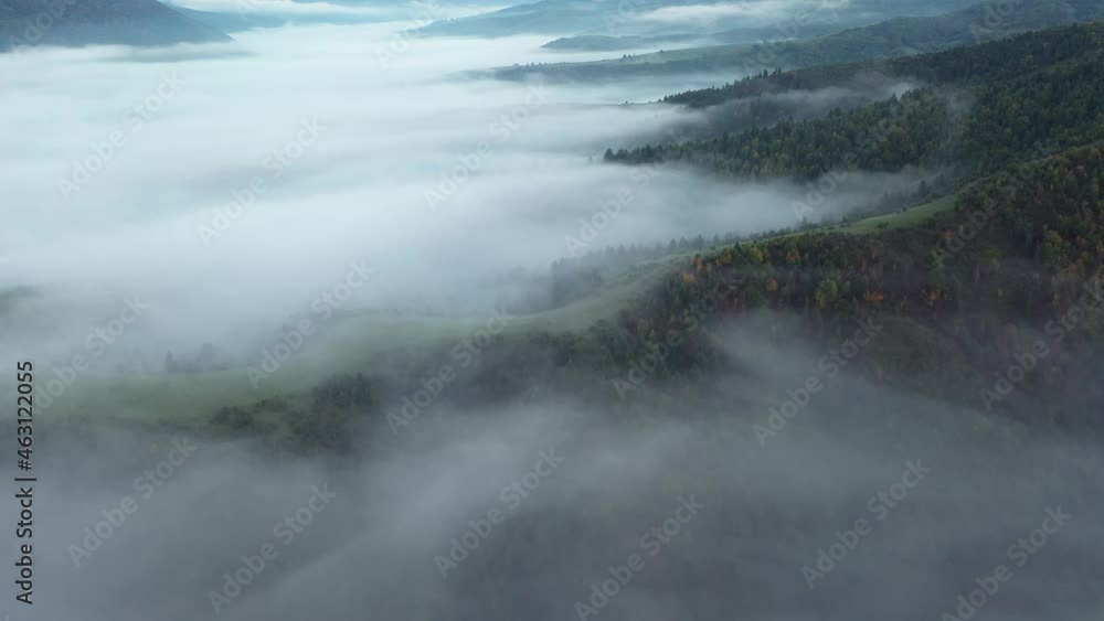 Aerial view on amazing flowing morning fog spreads over green meadows in autumn mountains. Ukrainian Carpathian mountains. UHD 4k video Aerial view on amazing flowing morning fog spreads over green meadows in autumn mountains. Ukrainian Carpathian mountains. UHD 4k video