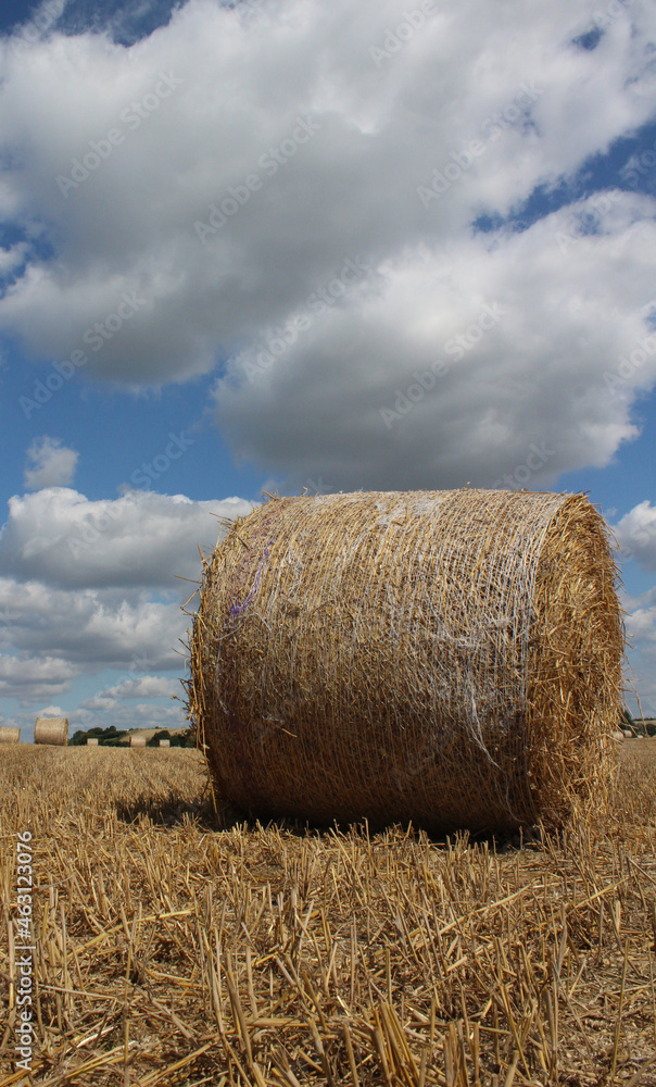  A hay bale in the field against a blue clouded sky in summer in a field near Wakefield West Yorkshire UK