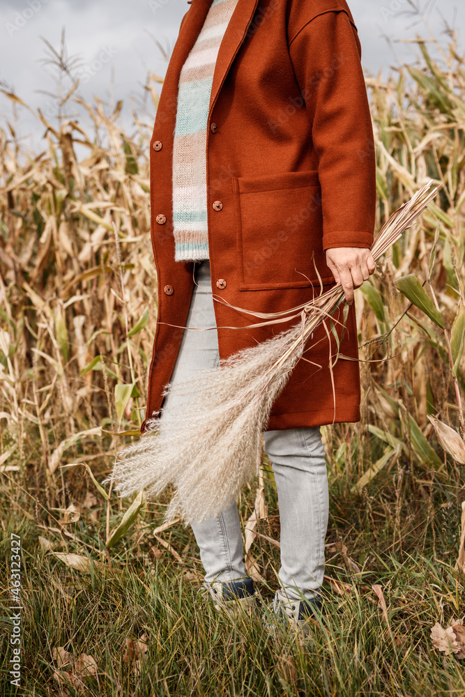 Stylish woman wearing red coat holding dried pampas grass next to corn field. Trendy autumn fashion collection. Elegance at fall season outdoors. Vintage pastel colors