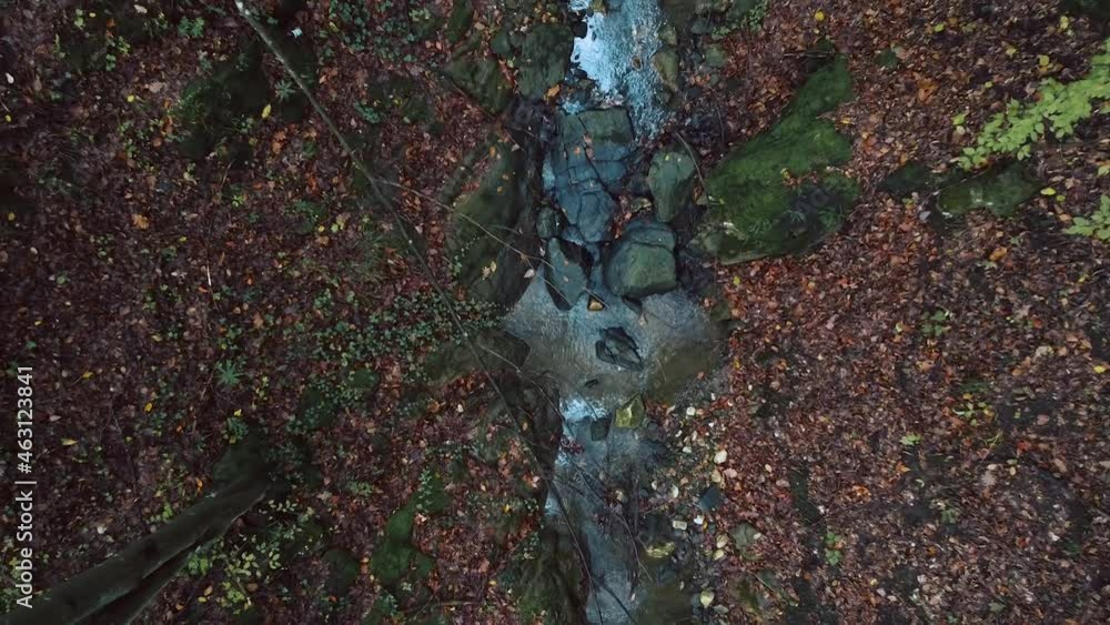 Top down motion view of small forest water stream
Top down motion view of small forest water stream
