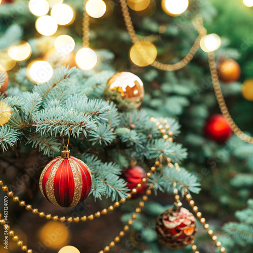 Red Christmas ball on a Christmas tree outside with bokeh. Mountain blue spruce