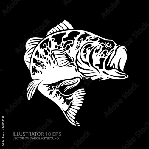 Vector Illustration of a largemouth bass fish jumping  in black background done in retro style.