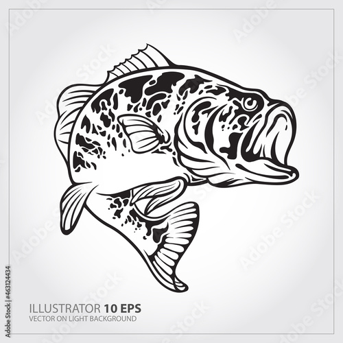 Vector Illustration of a largemouth bass fish jumping  in white background done in retro style. photo
