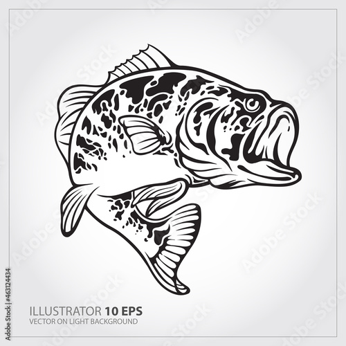 Vector Illustration of a largemouth bass fish jumping  in white background done in retro style.