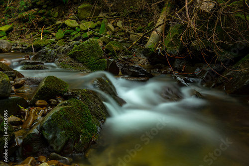 mountain stream in the forest © Robert