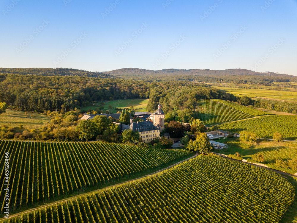Luftaufnahme mit Drohne von Schloss Vollrads zwischen Oestrich Winkel und Rüdesheim in den Weinbergen des Rheingau, Hessen Deutschland
