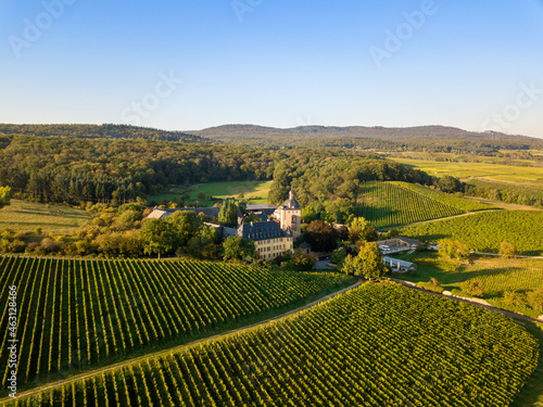 Luftaufnahme mit Drohne von Schloss Vollrads zwischen Oestrich Winkel und R  desheim in den Weinbergen des Rheingau  Hessen Deutschland