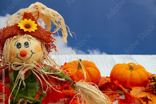 Fall leaves  scarecrow  and pumpkins on weathered wood with sky
