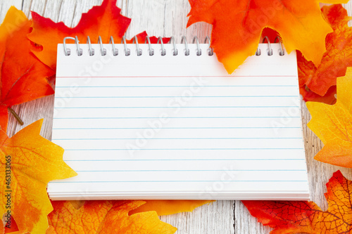Blank lined notepad on weathered wood with fall leaves