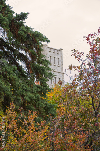 Autumn Trees and a Tower