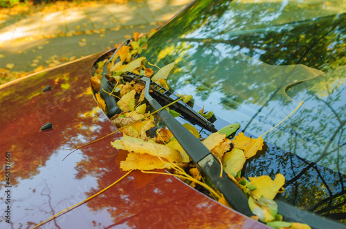 Leaves in autumn on a car