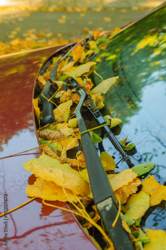 Wallpaper Mural Leaves in autumn on a car Torontodigital.ca