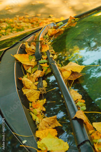 Wallpaper Mural Leaves in autumn on a car Torontodigital.ca