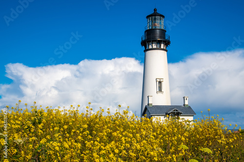 Yellow Flowers in Front of a Lighthouse on Pacific Coast in Oregon