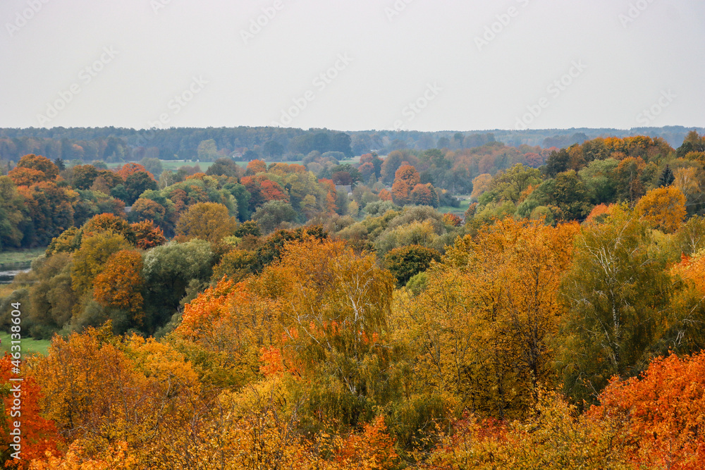 Rural landscape with various trees in autumn colors