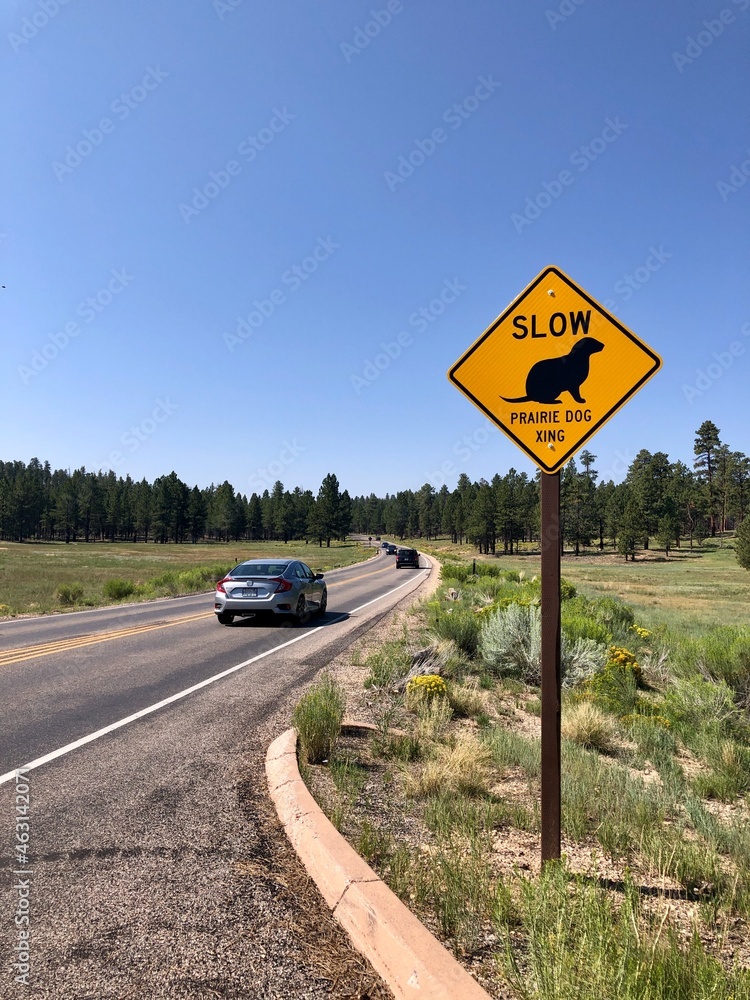 Bryce Canyon National Park in Utah.Rocky mountains erode and color a variety of landscapes.
A crossing caution sign in the Prairie Dog habitat..Vertical.