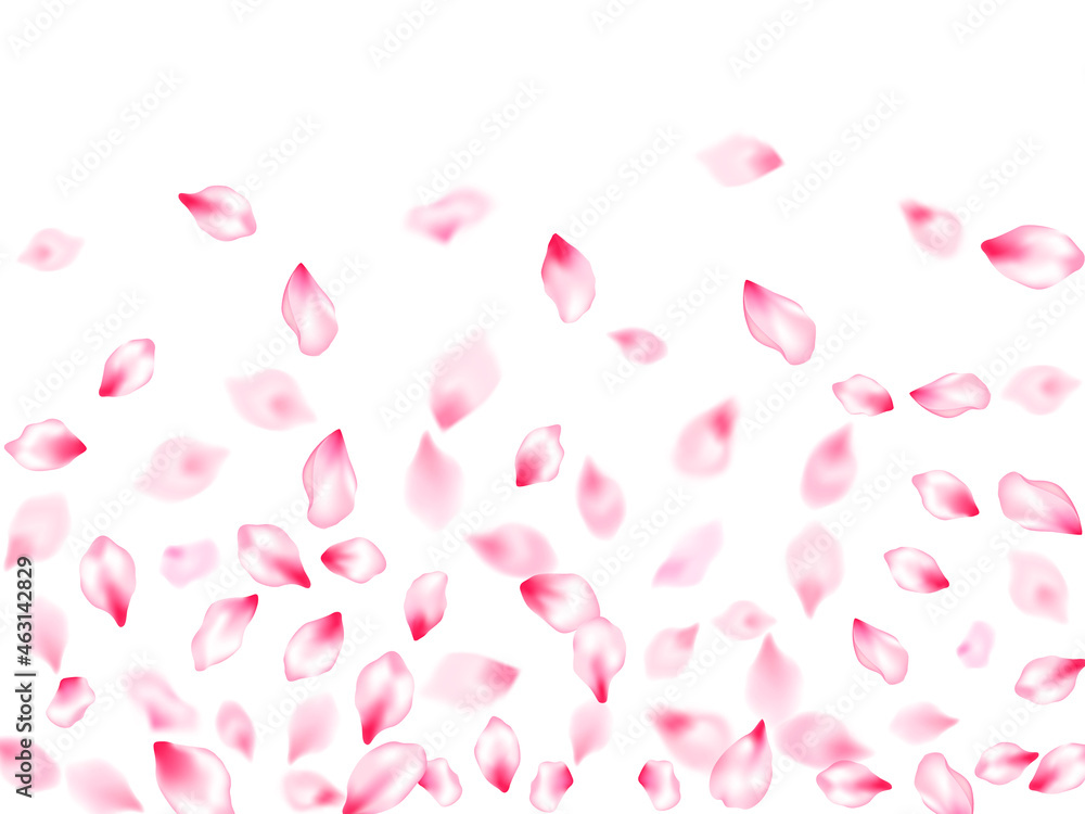 Spring tree flowers parts, airy flying petals Spring tree flowers parts, airy flying petals