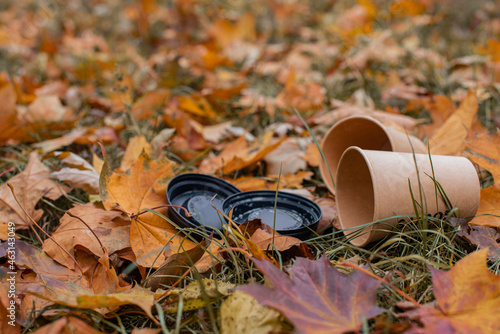 An empty paper coffee cup lies on the ground in the park. Environmental pollution