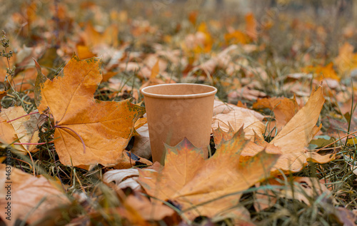 An empty paper cup stands on the ground in a park in autumn leaves. 
