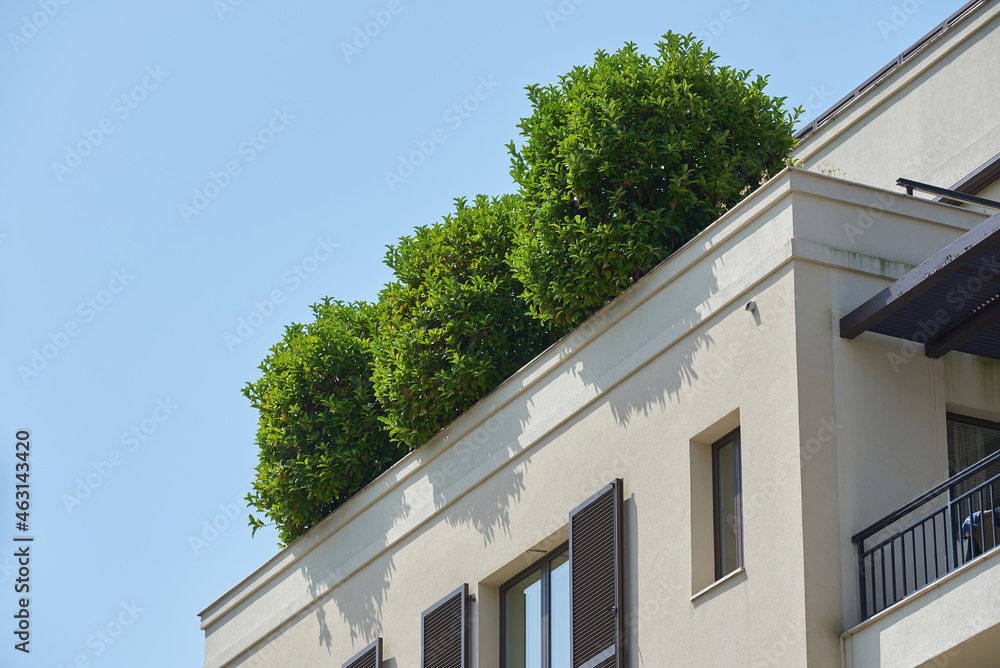 Lush green bushes grow on the roof of the building