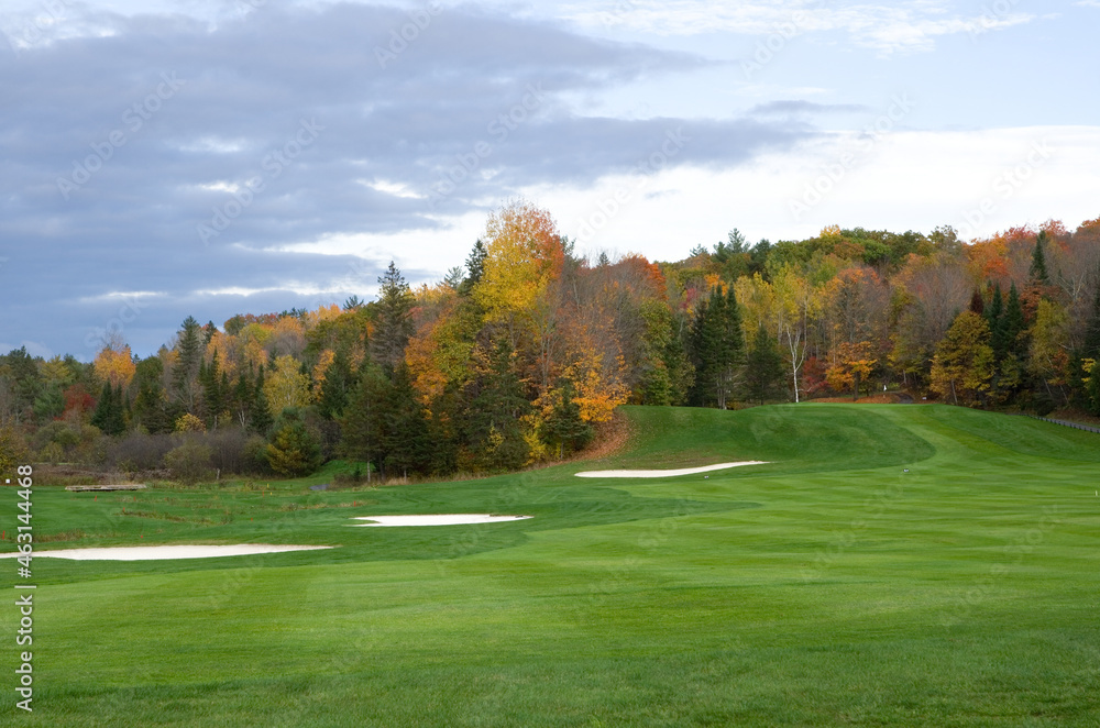 Fototapeta premium Beautiful Golf Fairway in the Forest During Fall Season