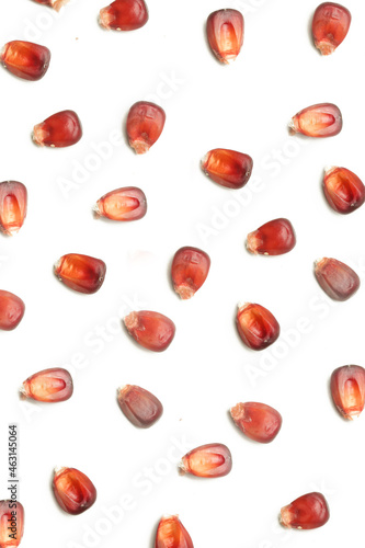 Aztec red corn seeds isolated on white background.