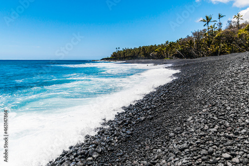 Wall Mural Palm Tree Lined Pohoiki Black Sand Beach, Isaac Hale Beach Park, Hawaii Island,