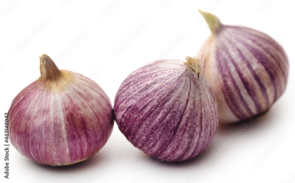 Obraz premium Solo or single clove garlic