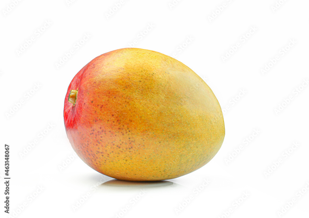 Single whole mango isolated on white background Single whole mango isolated on white background