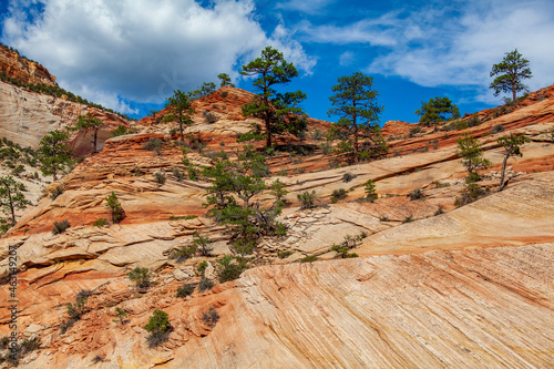 Zion National Park