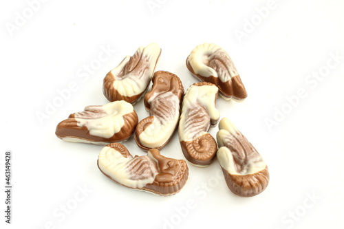 Seafood like chocolate pralines isolated on white background. Milk choco dessert