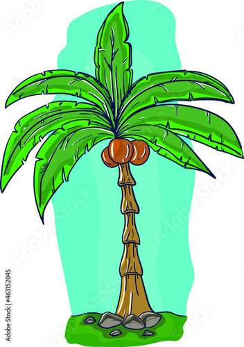 Illustration of tree, coconut tree