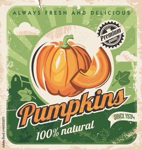Farm fresh pumpkins retro poster design. Autumn  season and harvest theme with organic natural product advertisement on old paper texture. Vintage food vector illustration.