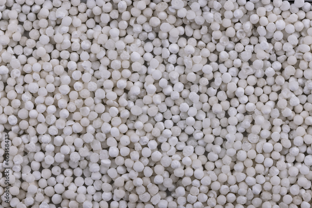 White Sago Seeds Top Angle Flat-lay Background or Texture White Sago Seeds Top Angle Flat-lay Background or Texture