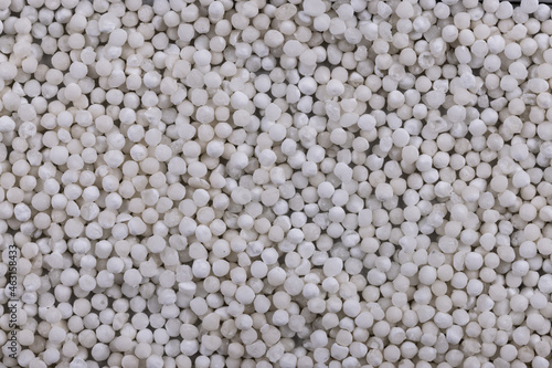 White Sago Seeds Top Angle Flat-lay  Background or Texture