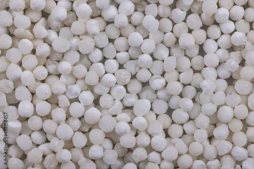 White Sago Seeds Top Angle Flat-lay Background or Texture