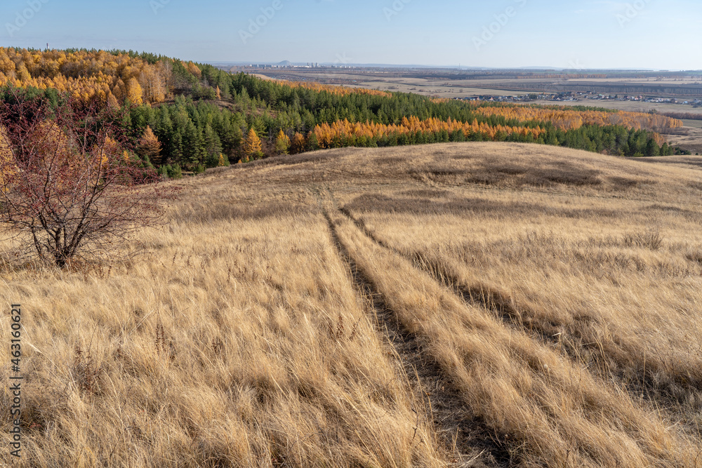 A road among dry yellow grass, going down a steep slope to an autumn forest.