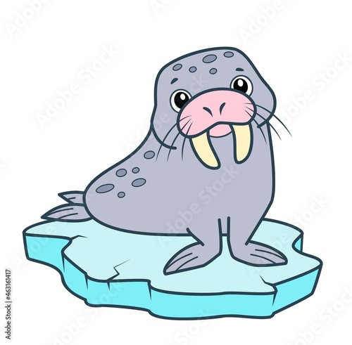 Cute walrus cartoon