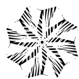 hand-drawn beautiful snowflake. decor element. monochrome. vector doodle