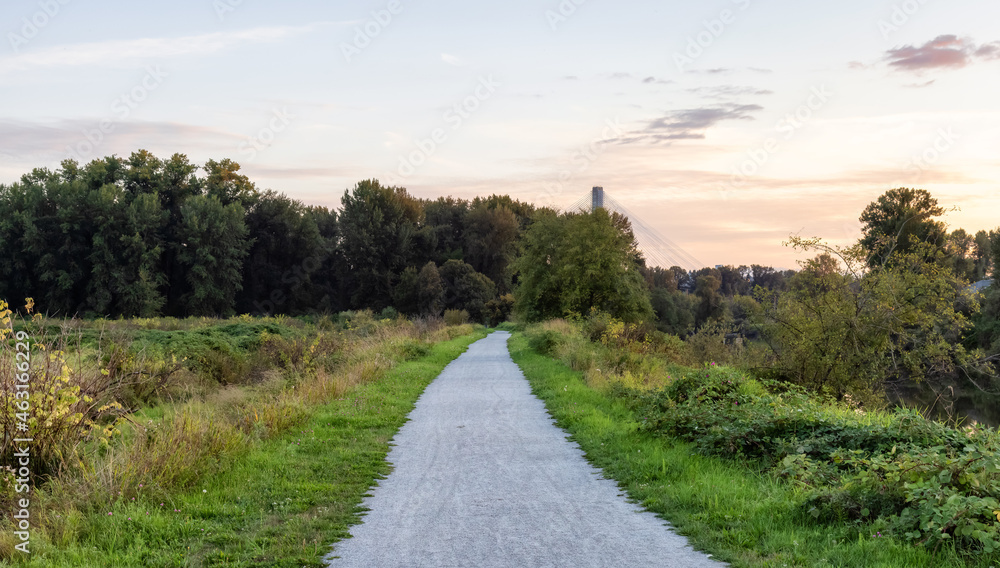 Trail in a city park. Colorful Summer Sunset. Colony Farm Regional Park, Port Coquitlam, Vancouver, British Columbia, Canada.