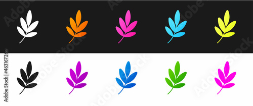 Set Movie trophy icon isolated on black and white background. Academy award icon. Films and cinema symbol. Vector