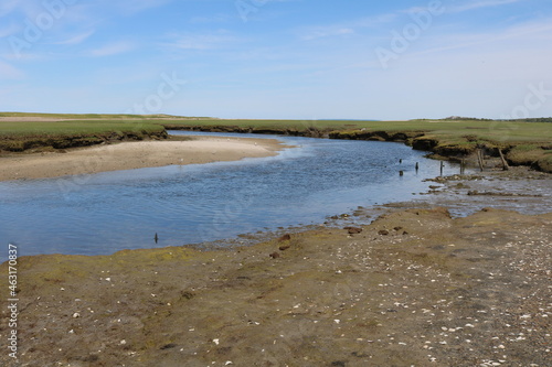 tidal marshes outside nature