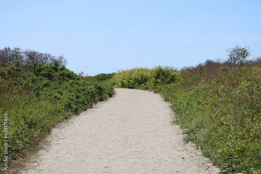sandy path to beach