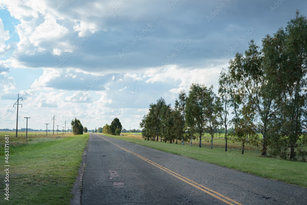 Fototapeta premium asphalt road with trees and dramatic sky