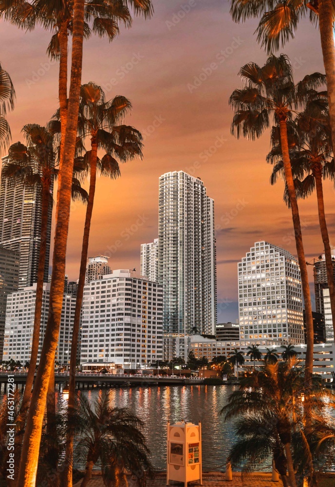 Obraz premium Brickell Miami Florida country marina at sunset palms tropical bridge reflections water sky color orange luxury